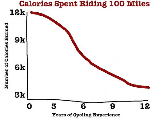 calories.jpg