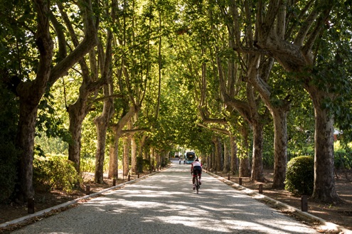 WineryBike